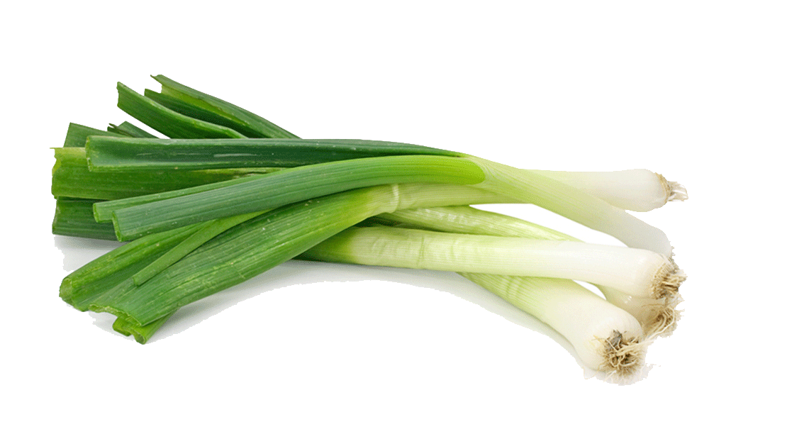 Fresh Leeks Isolatedon White Background