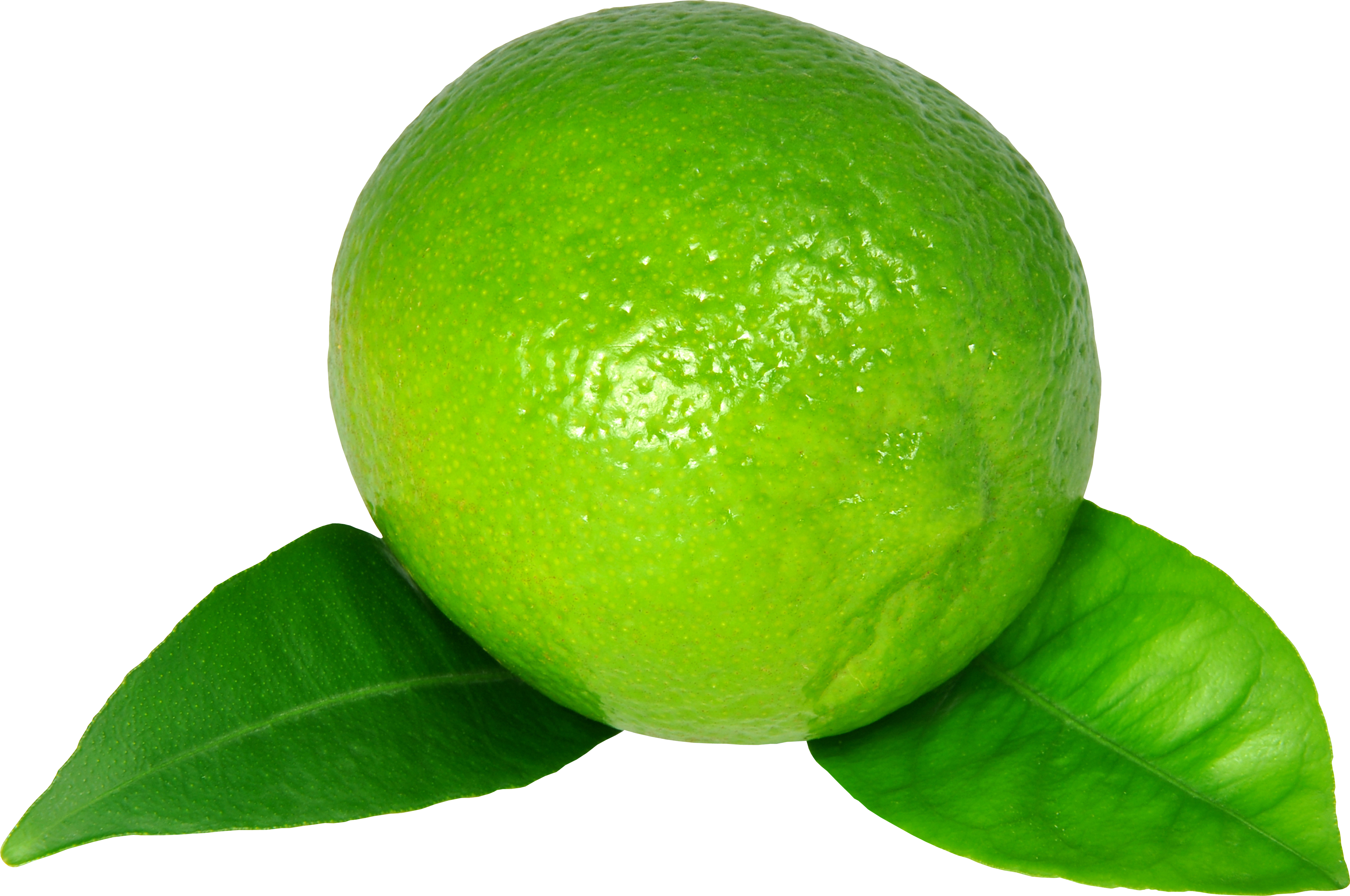 Fresh Limewith Green Leaf