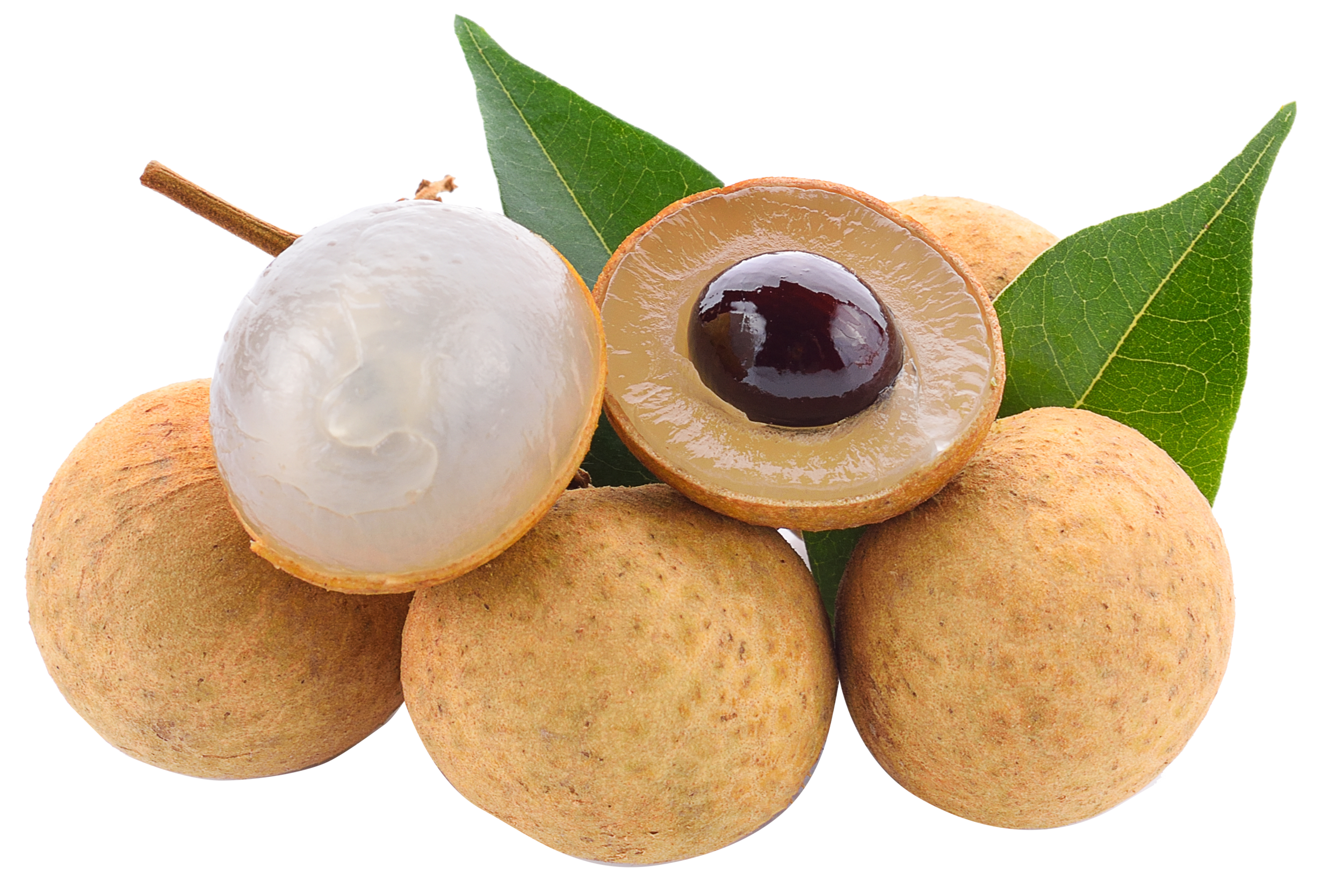 Fresh Longan Fruit Cluster