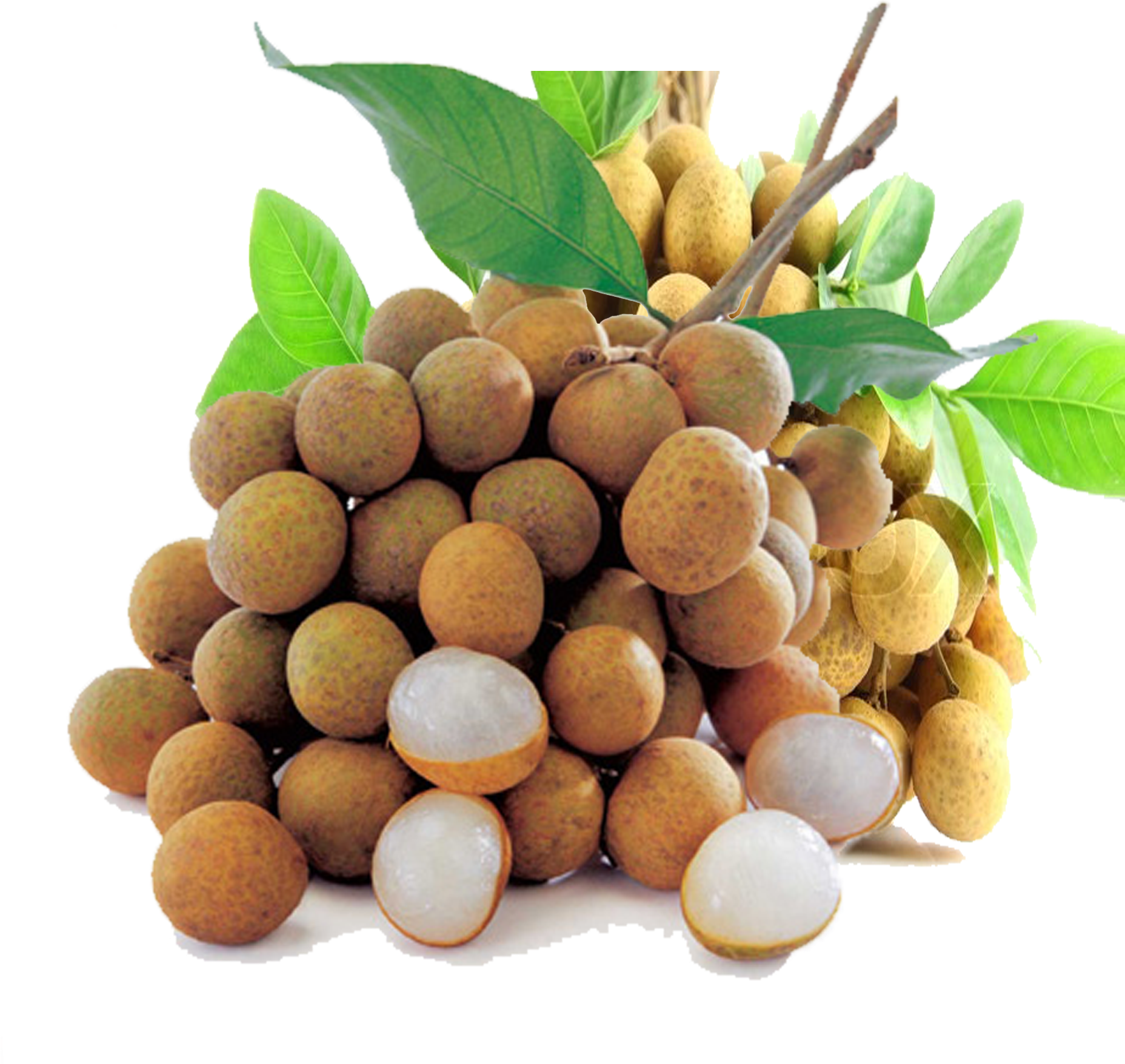 Fresh Longan Fruit Pile With Leaves