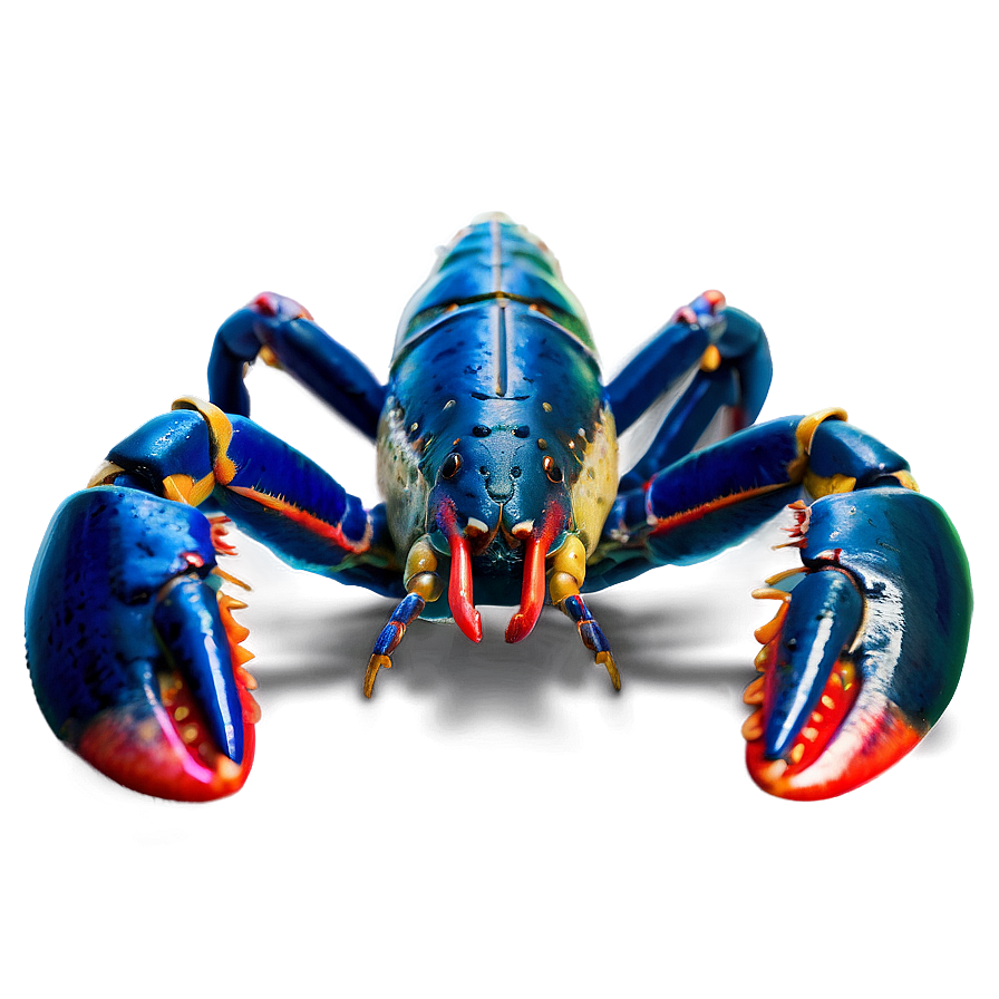 Fresh Maine Lobster Feast Png Poy47