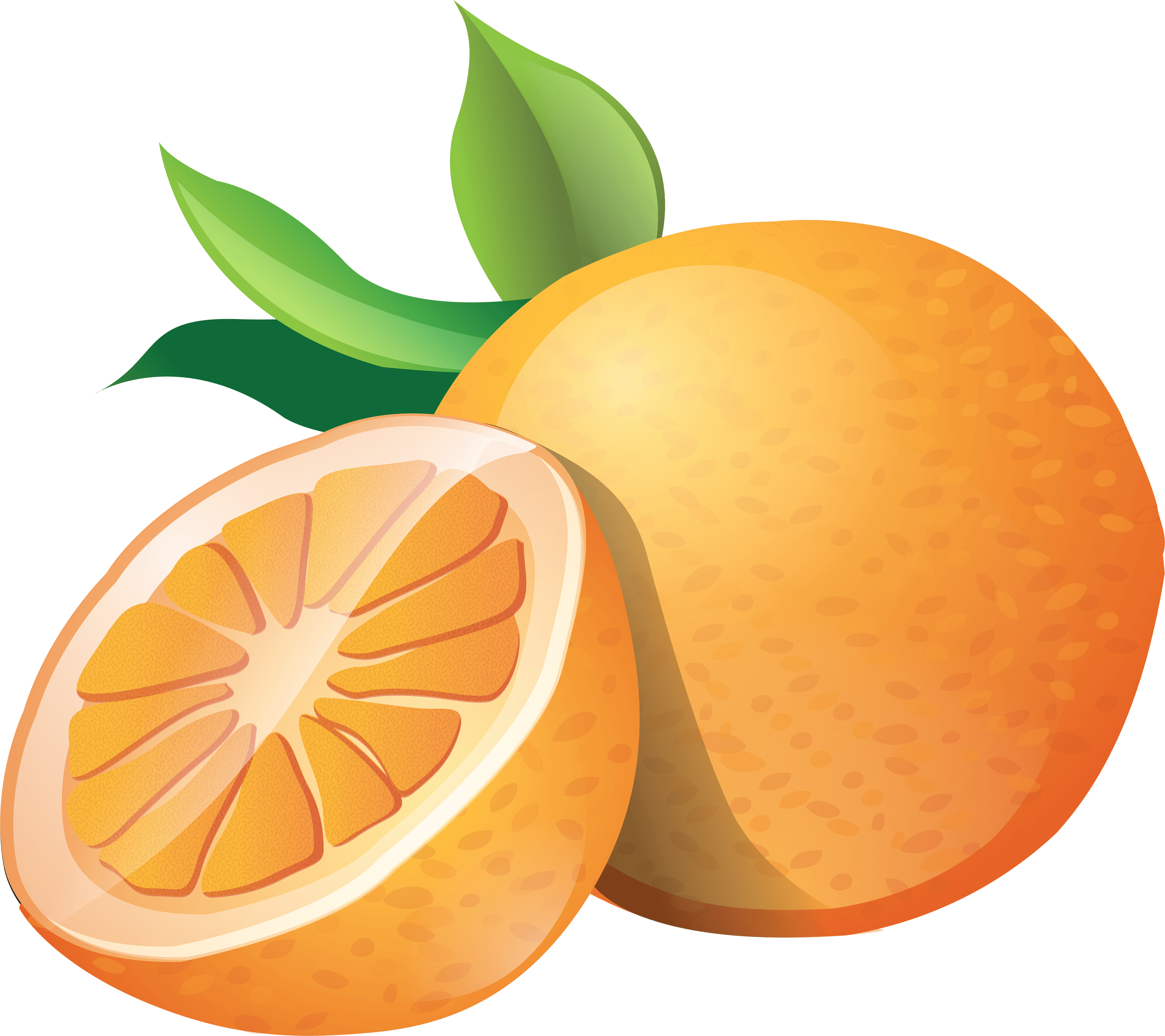 Fresh Mandarin Orange Illustration