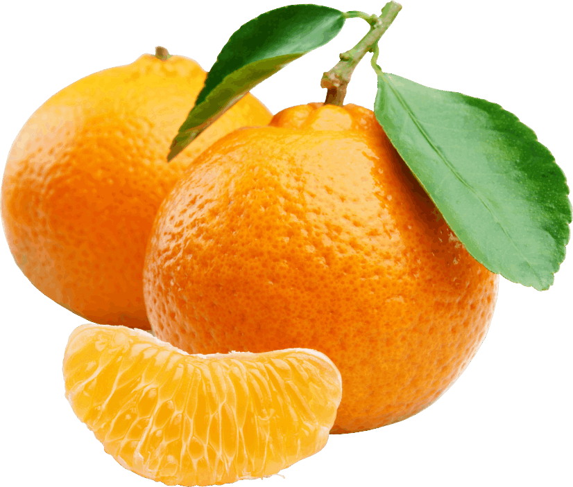 Fresh Mandarin Oranges With Leaves