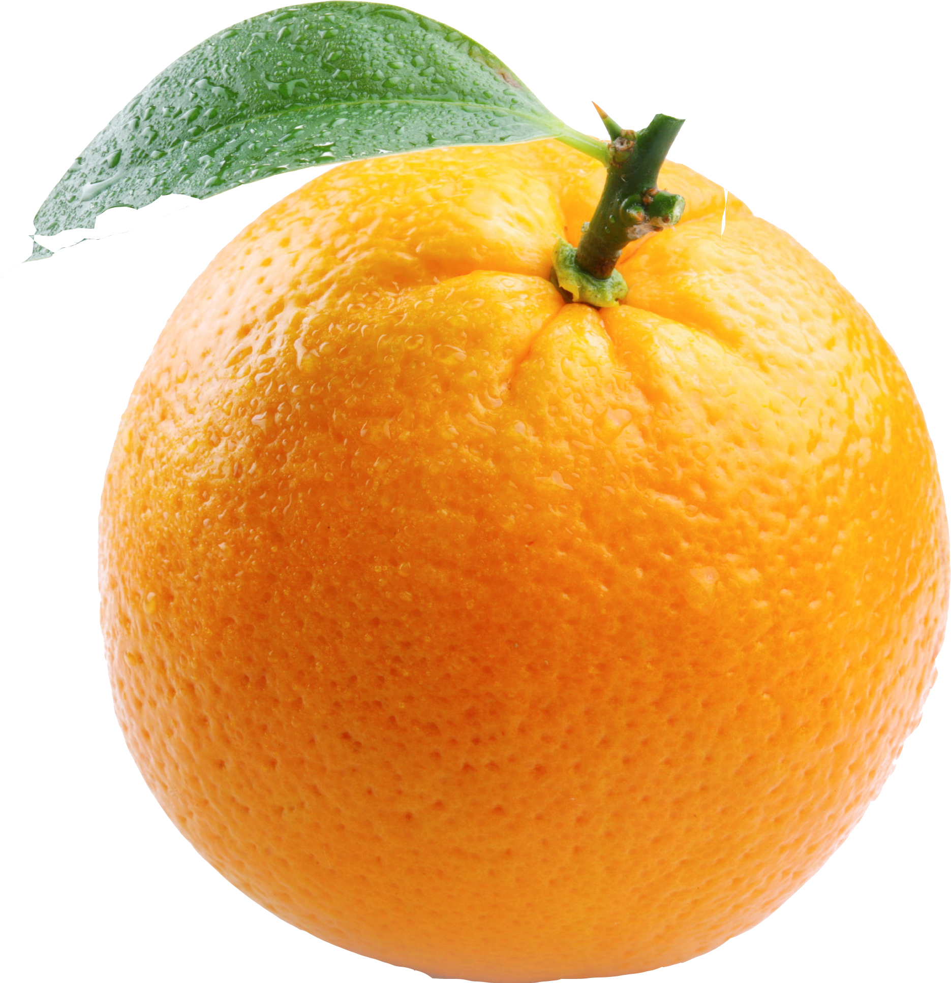 Fresh Mandarin Orangewith Leaf.png