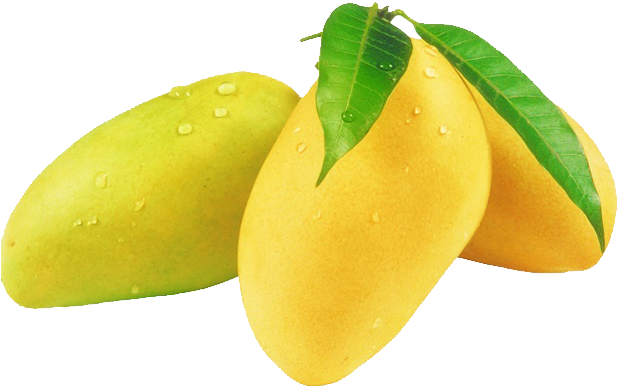 Fresh Mangoes With Dew Drops