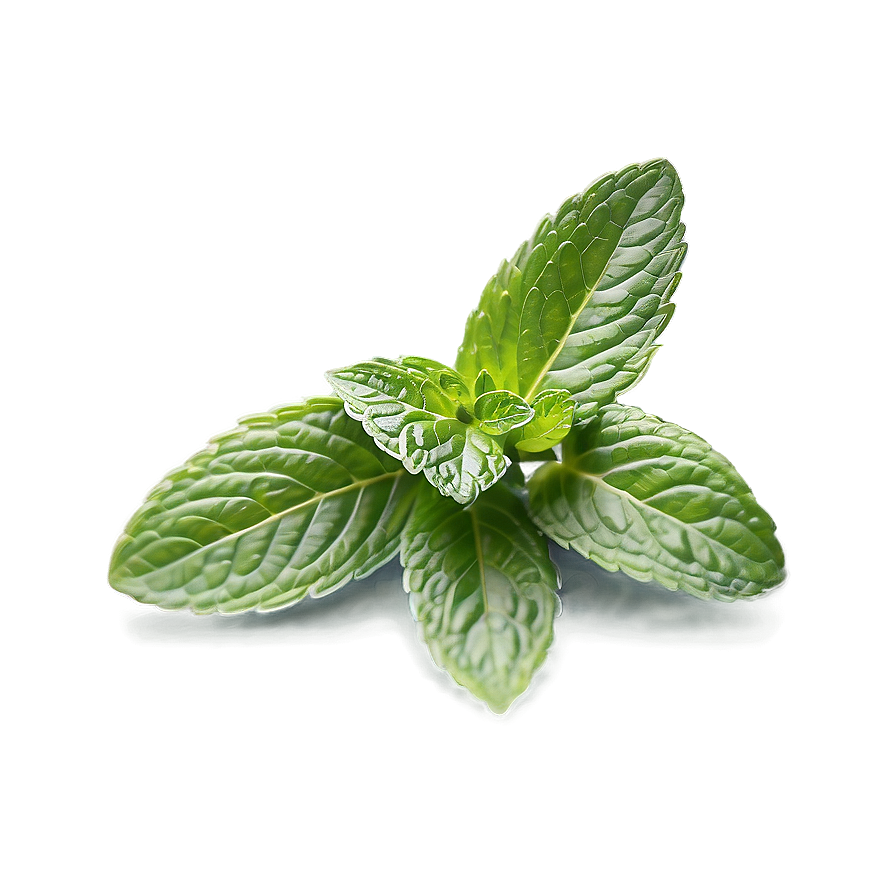 Fresh Mint Bundle Png Hki