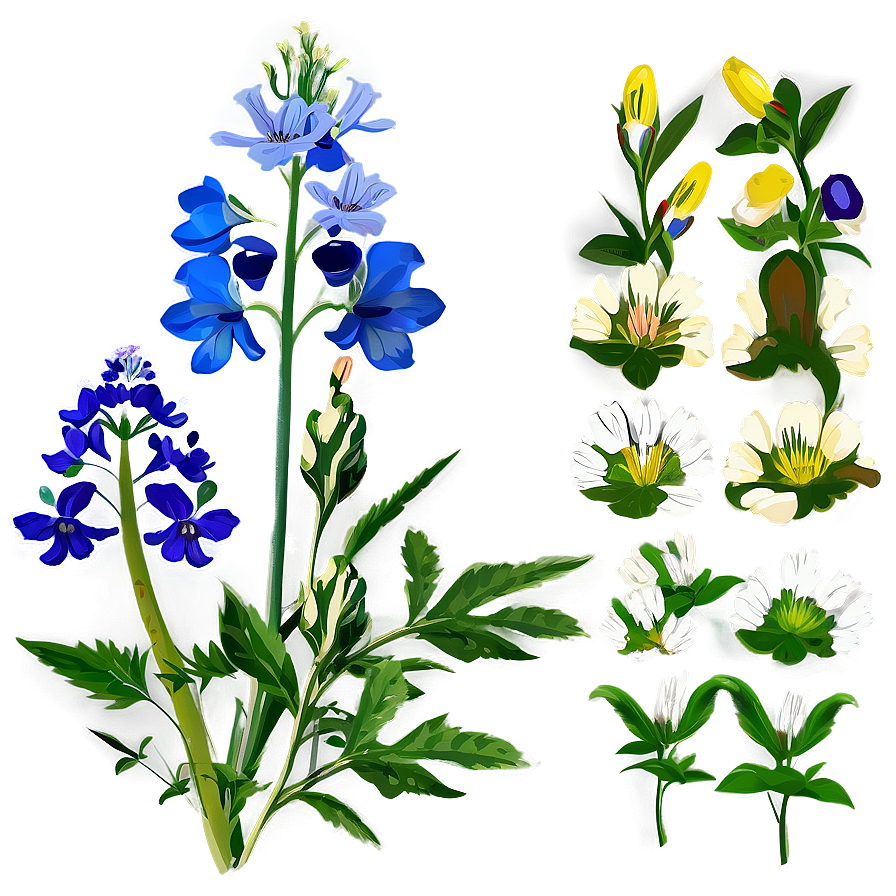 Fresh Morning Wildflowers Png 35