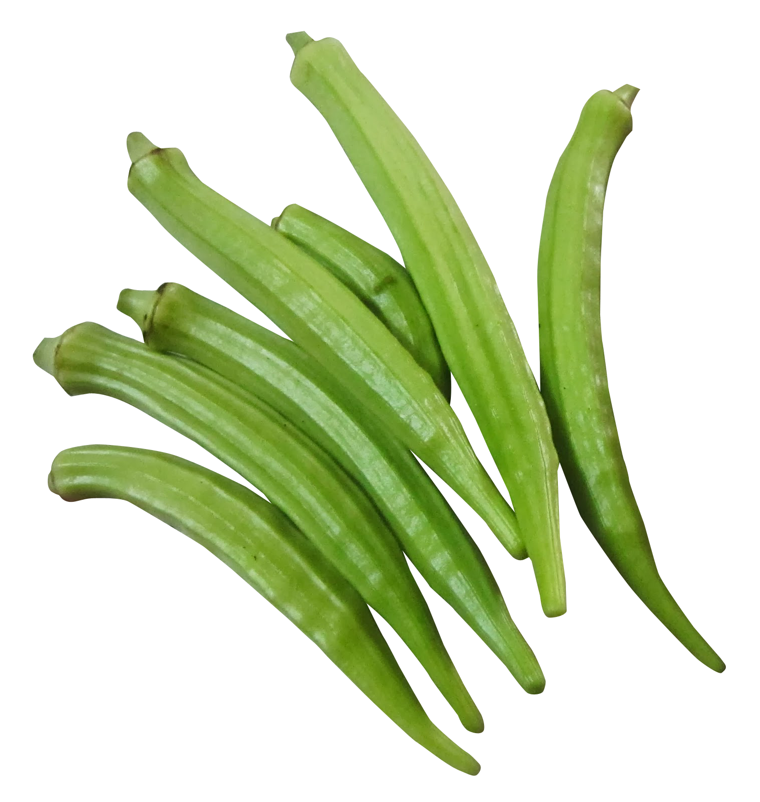 Fresh Okra Clusteron Blue Background