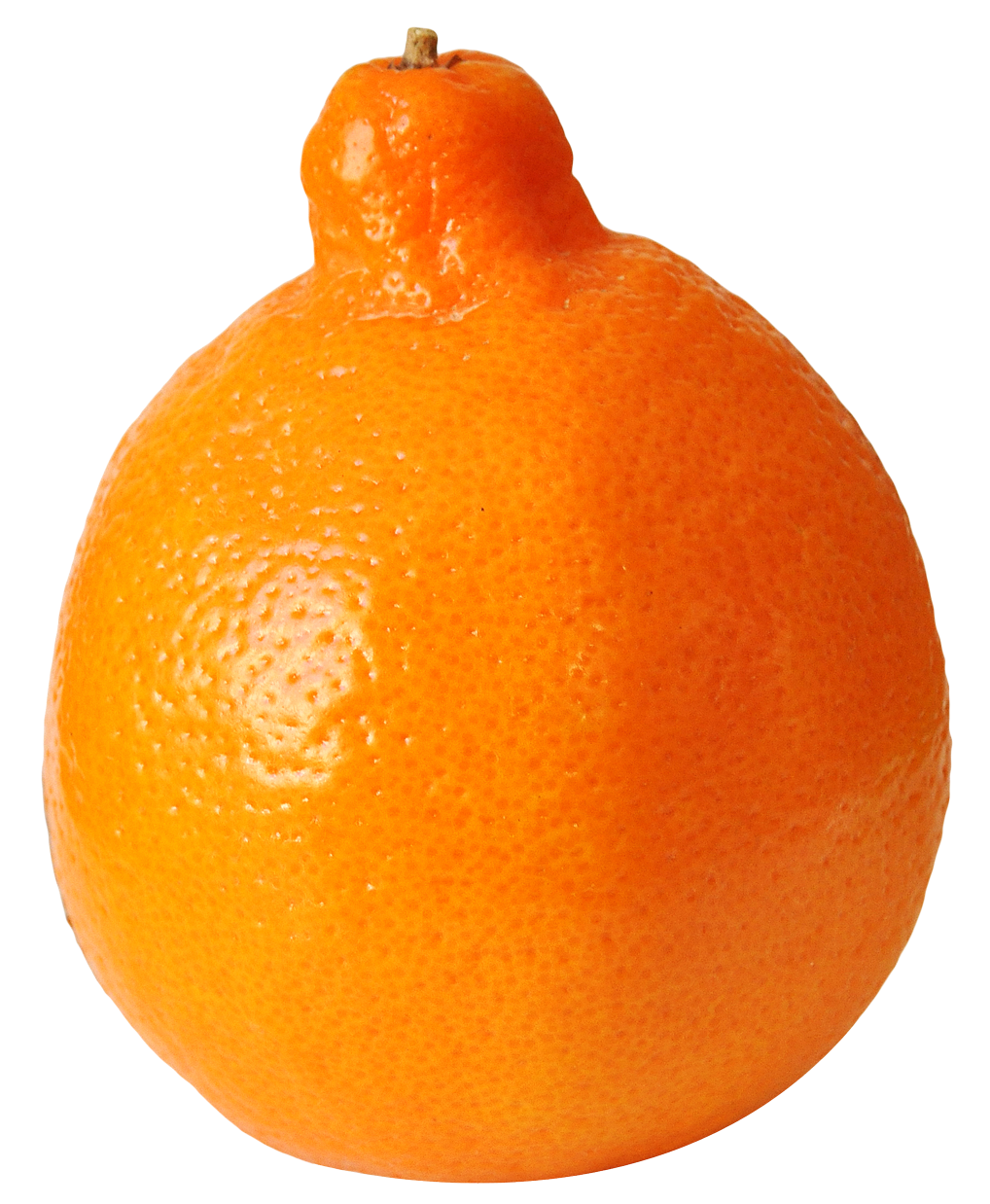 Fresh Orange Fruit Single