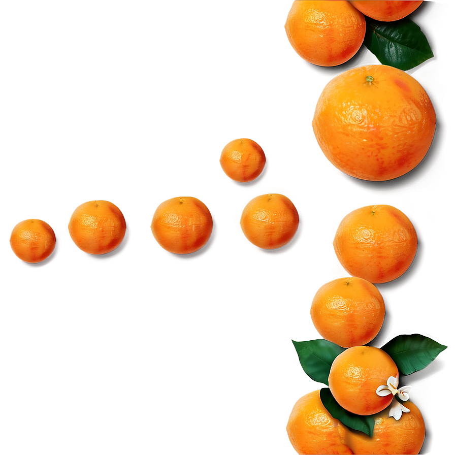 Fresh Oranges Png Syg96