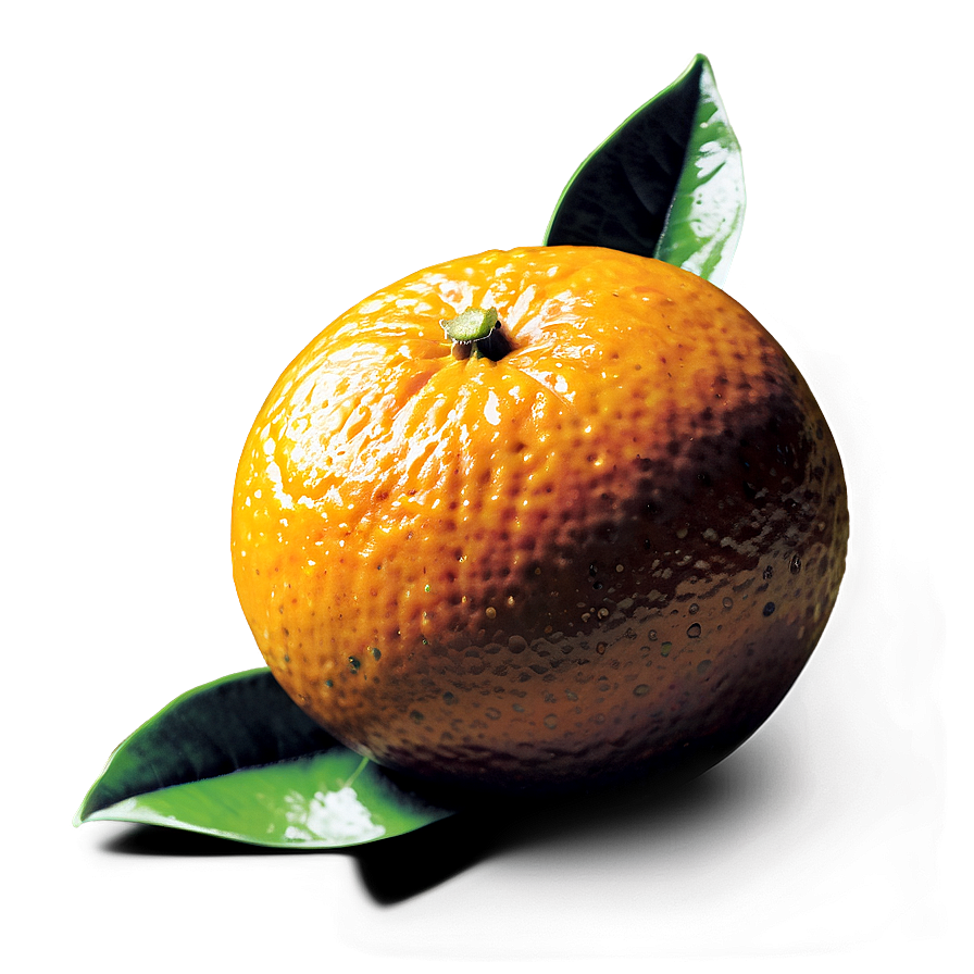 Fresh Oranges Png Xgt87