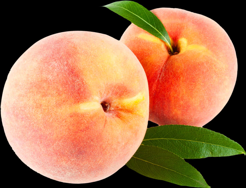 Fresh Peaches Black Background