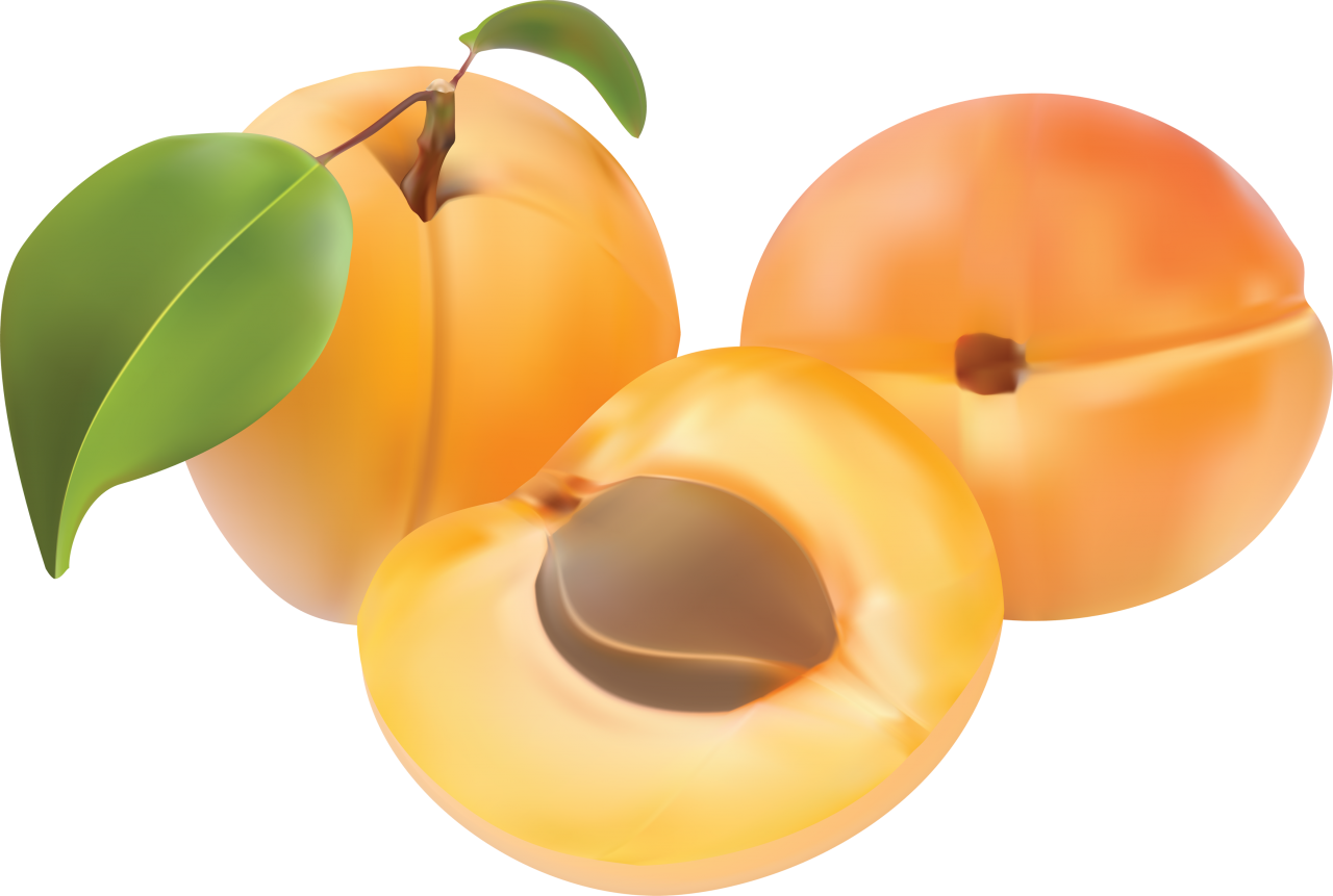 Fresh Peachesand Half Slice Illustration