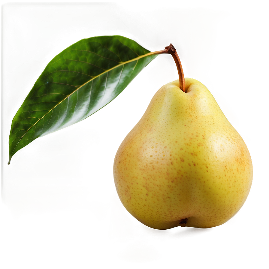 Fresh Pear Png 06122024