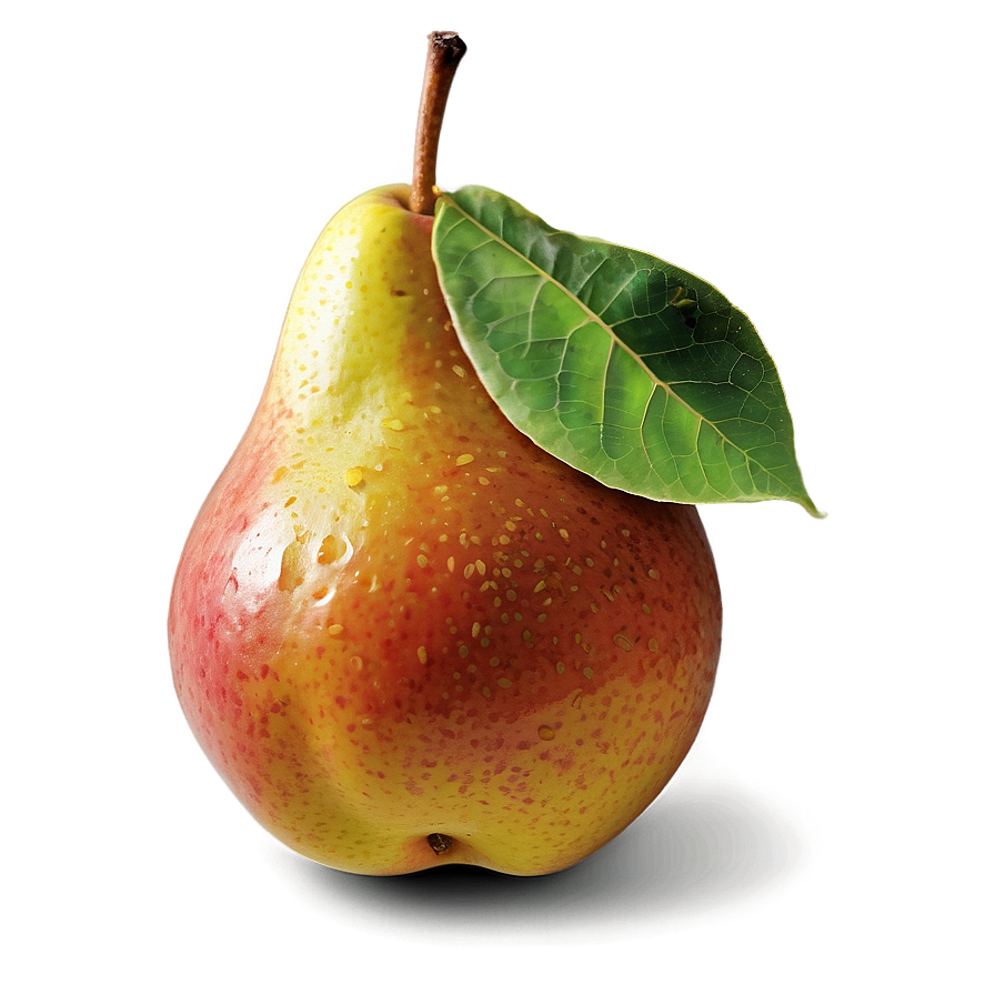 Fresh Pear Png 21