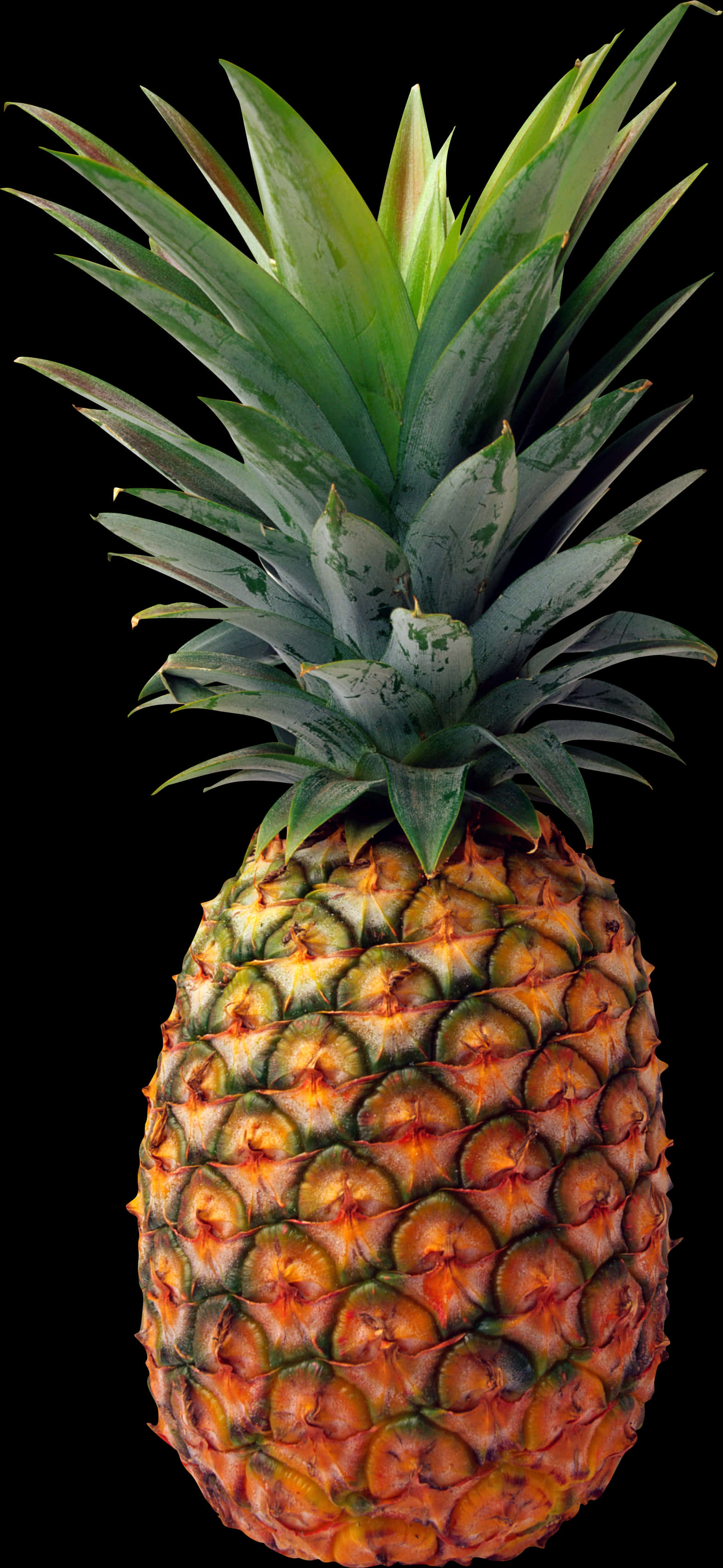 Fresh Pineapple Isolatedon Black