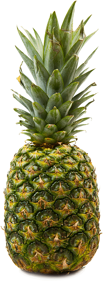 Fresh Pineapple Tropical Fruit