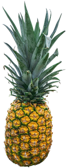 Fresh Pineappleon Black Background.jpg