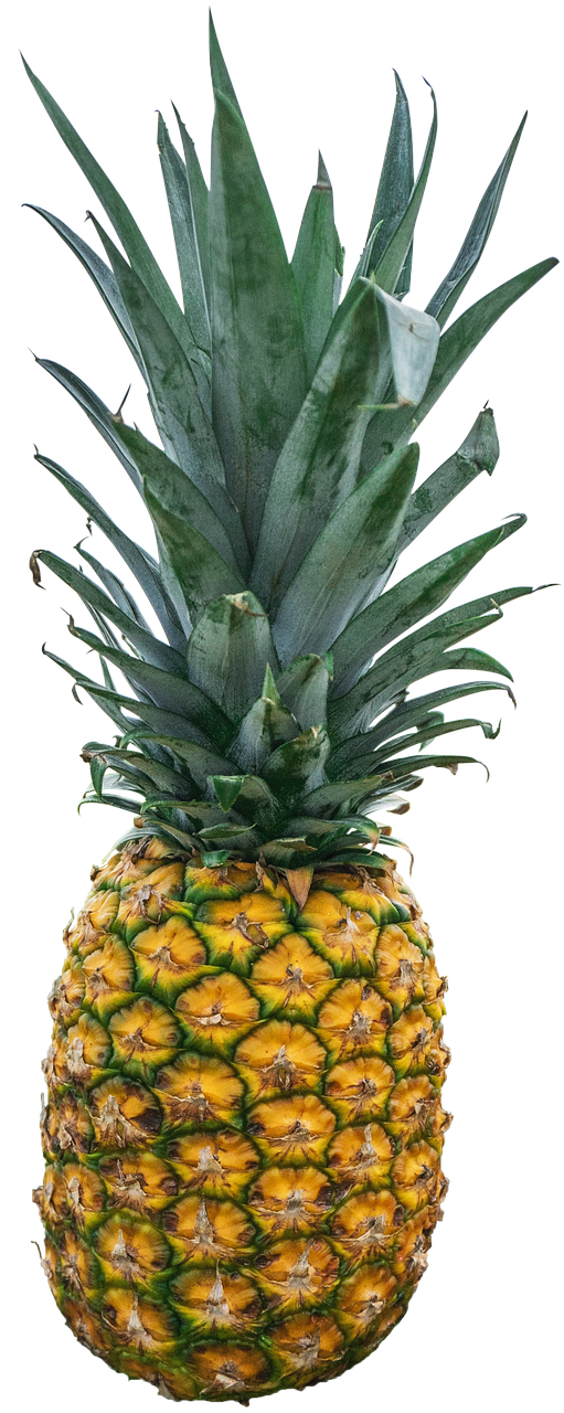 Fresh Pineappleon Black Background.jpg