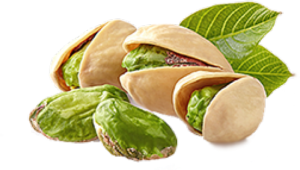 Fresh Pistachios With Leaves.png