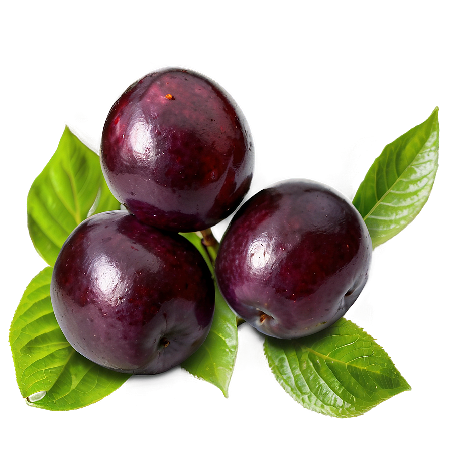 Fresh Plum Fruit Png Mle63