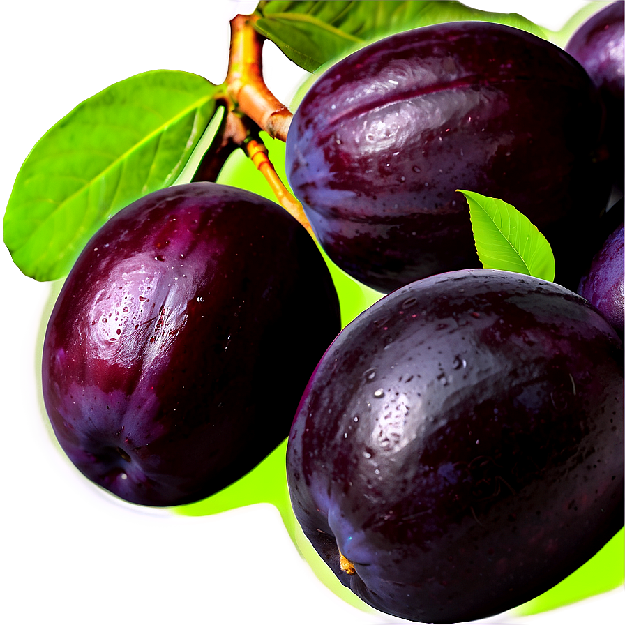 Fresh Plum Fruit Png Tpc