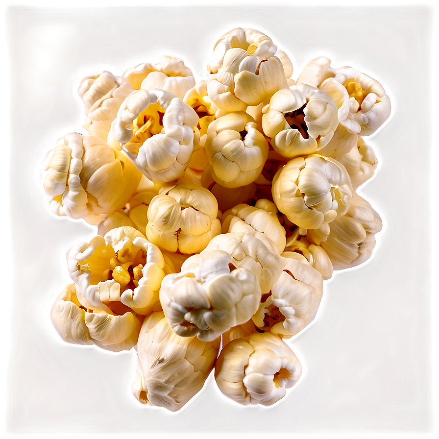 Fresh Popcorn Kernel Png 06292024