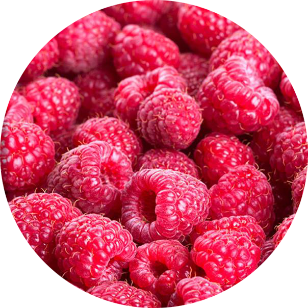 Fresh Raspberries Closeup