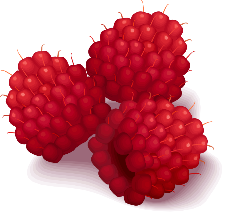 Fresh Raspberries Illustration