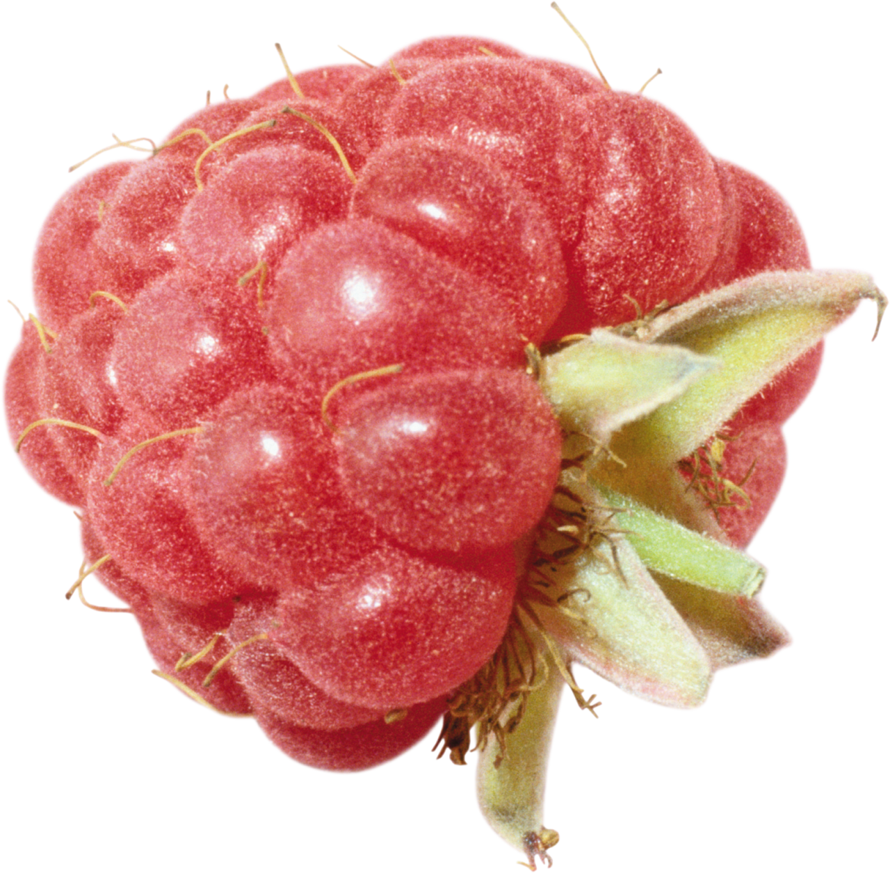 Fresh Raspberry Closeup.png