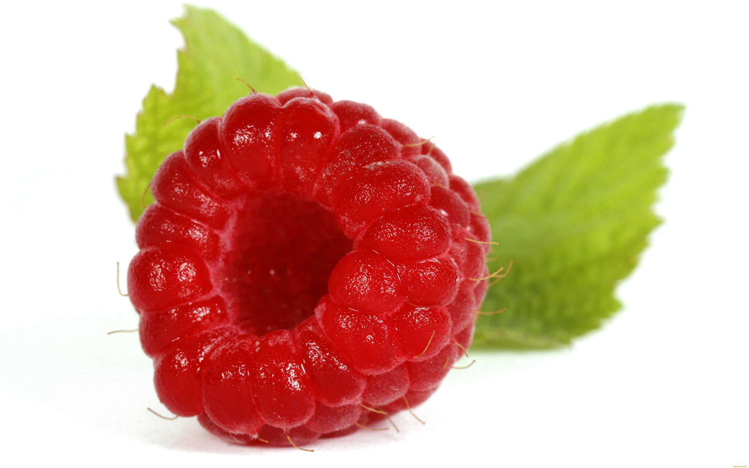 Fresh Raspberrywith Leaves.png