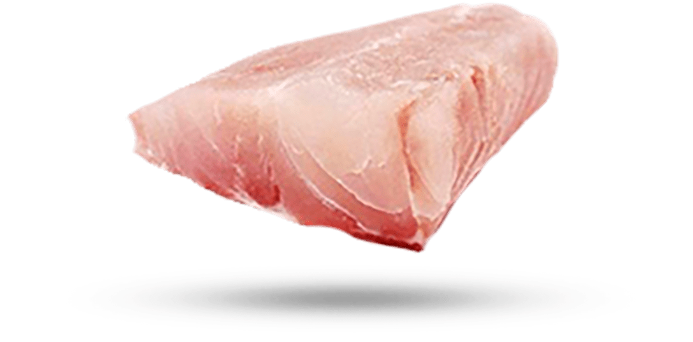 Fresh Raw Chicken Breast Filet