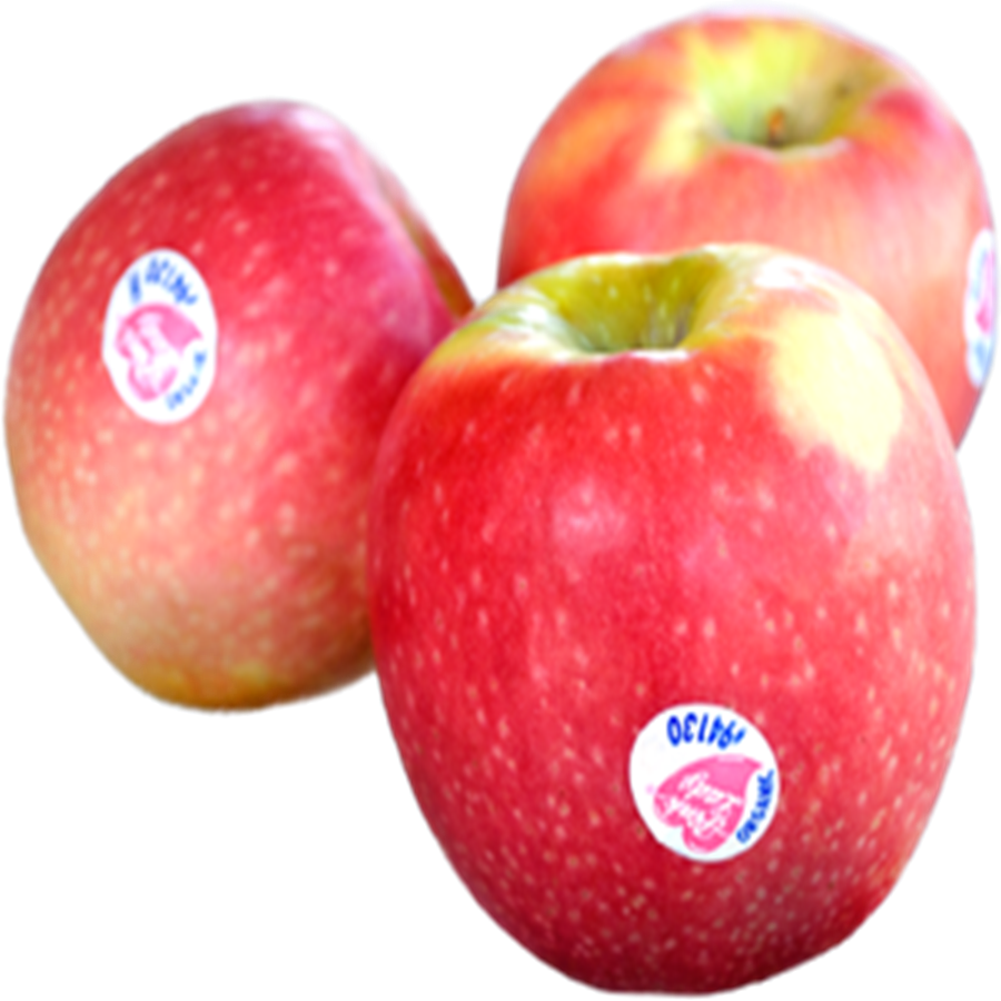 Fresh Red Apples With Stickers