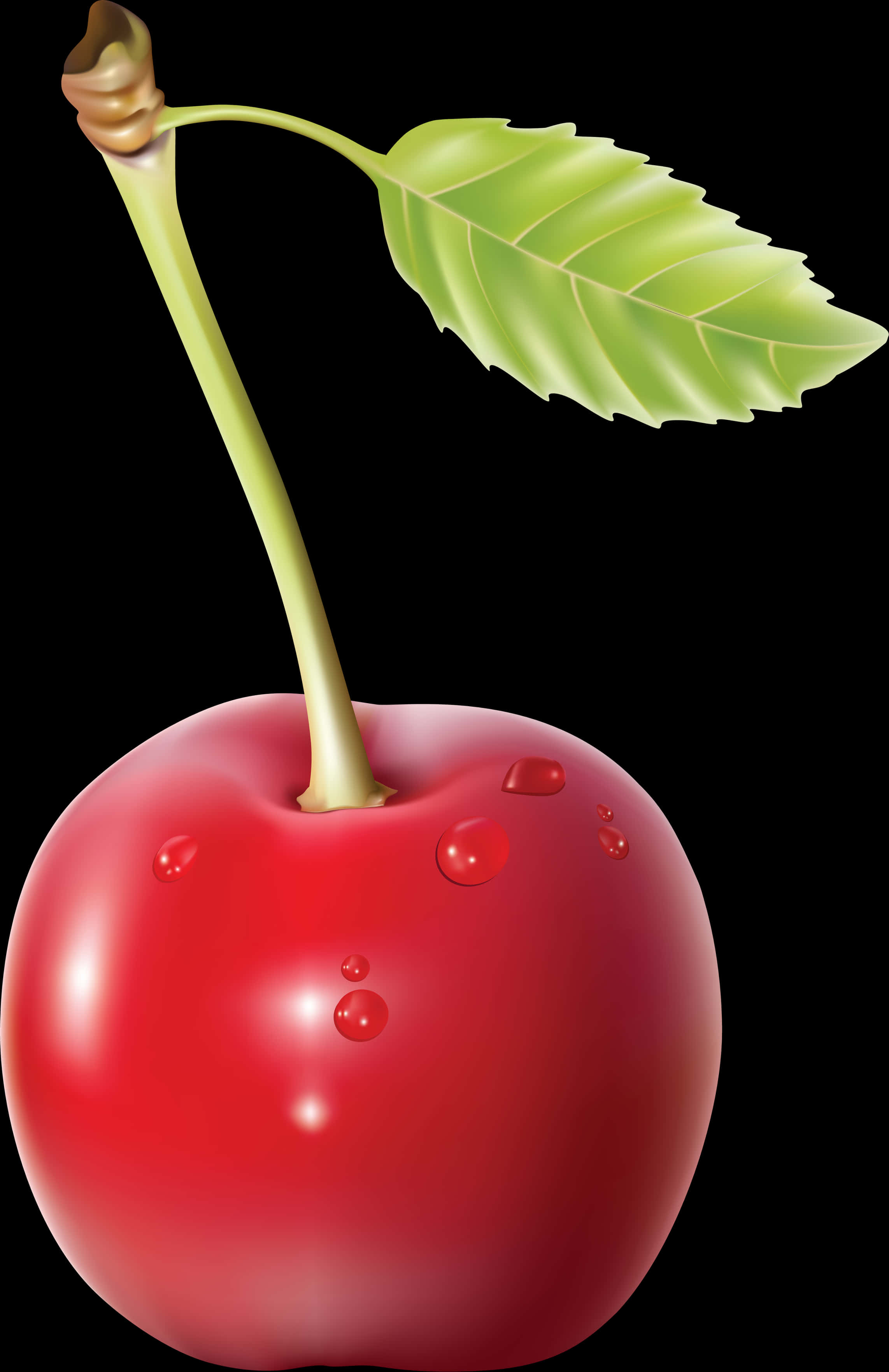 Fresh Red Cherrywith Dew Drops