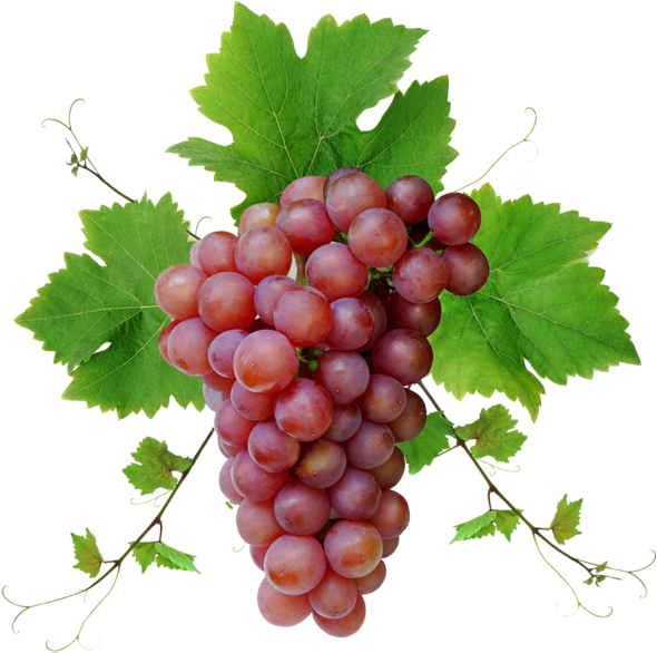 Fresh Red Grape Cluster.png