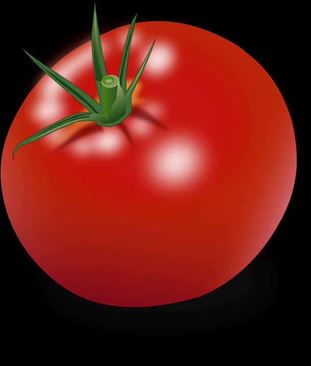 Fresh Red Tomato Illustration