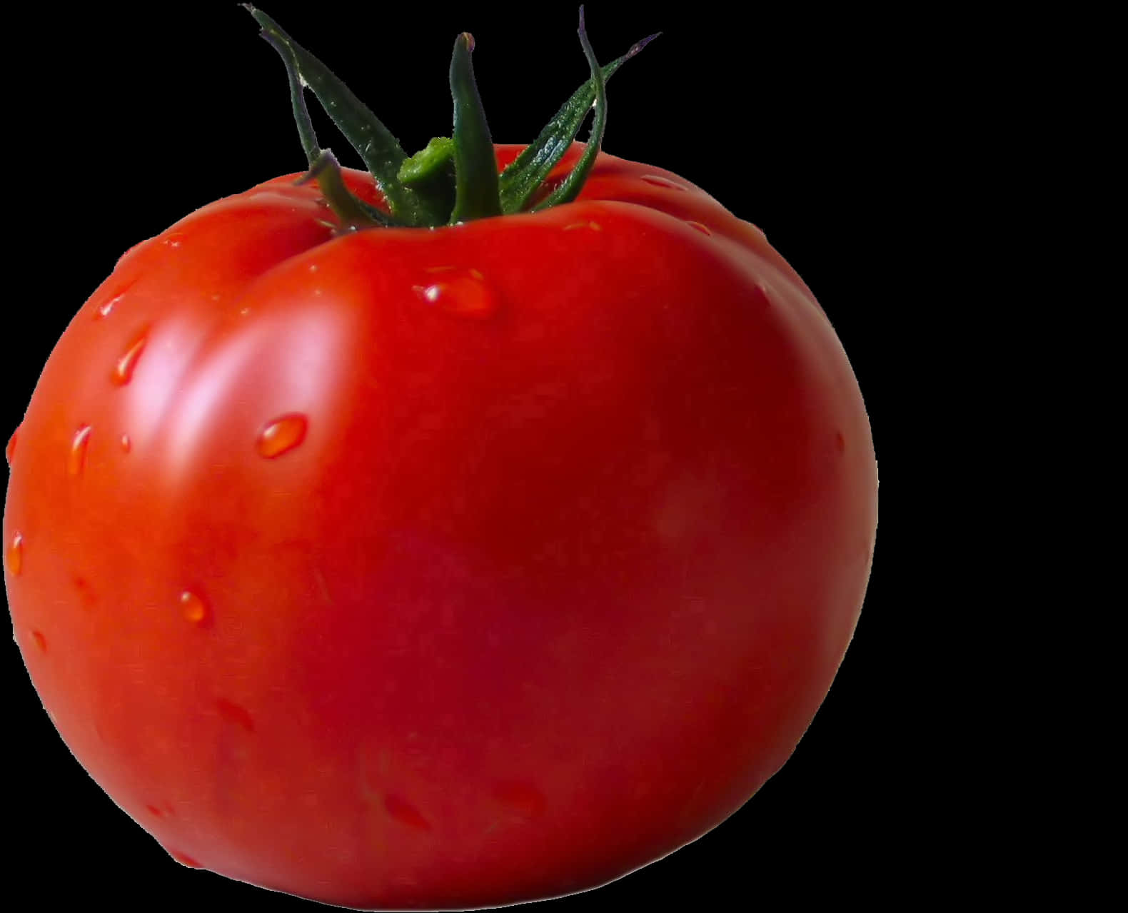 Fresh Red Tomatowith Water Droplets.jpg