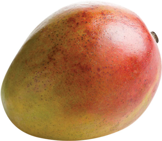 Fresh Ripe Mango Fruit