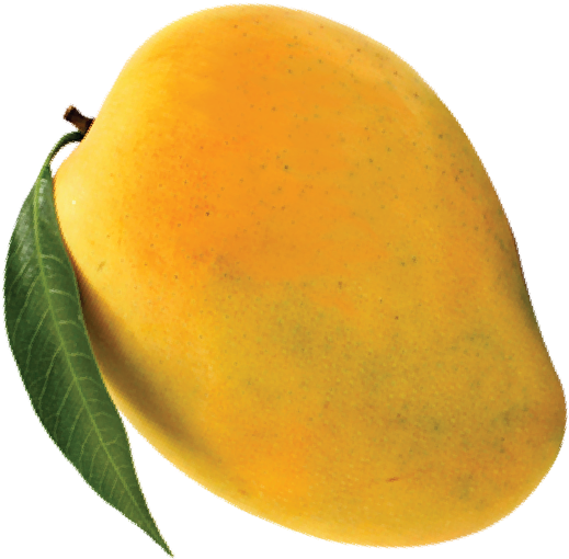 Fresh Ripe Mango With Leaf