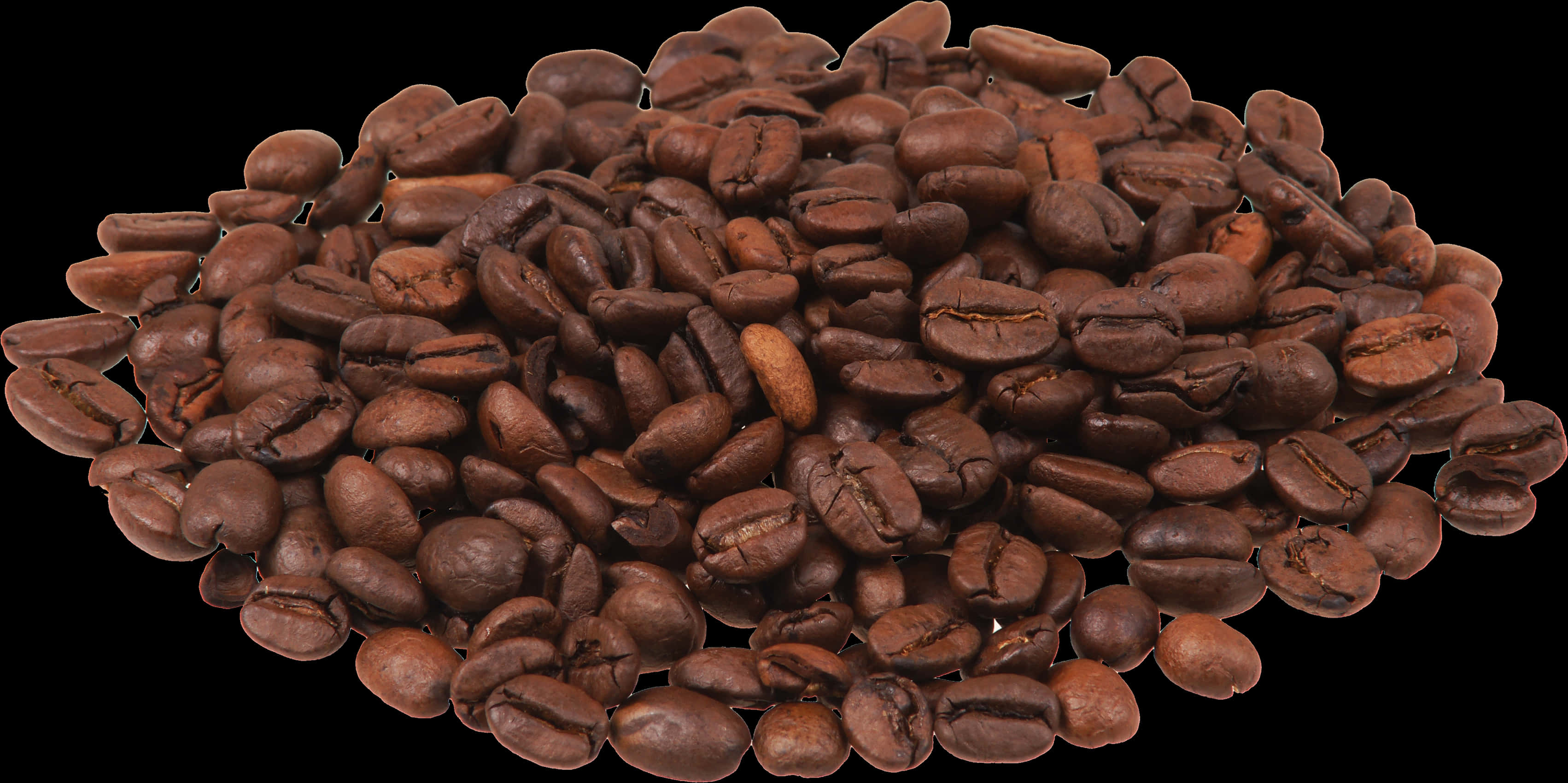 Fresh Roasted Coffee Beans Texture