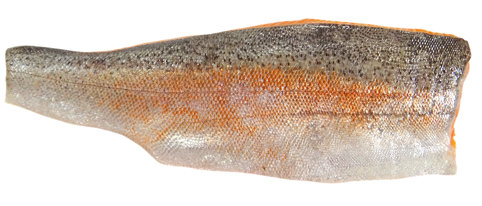 Fresh Salmon Fillet Texture