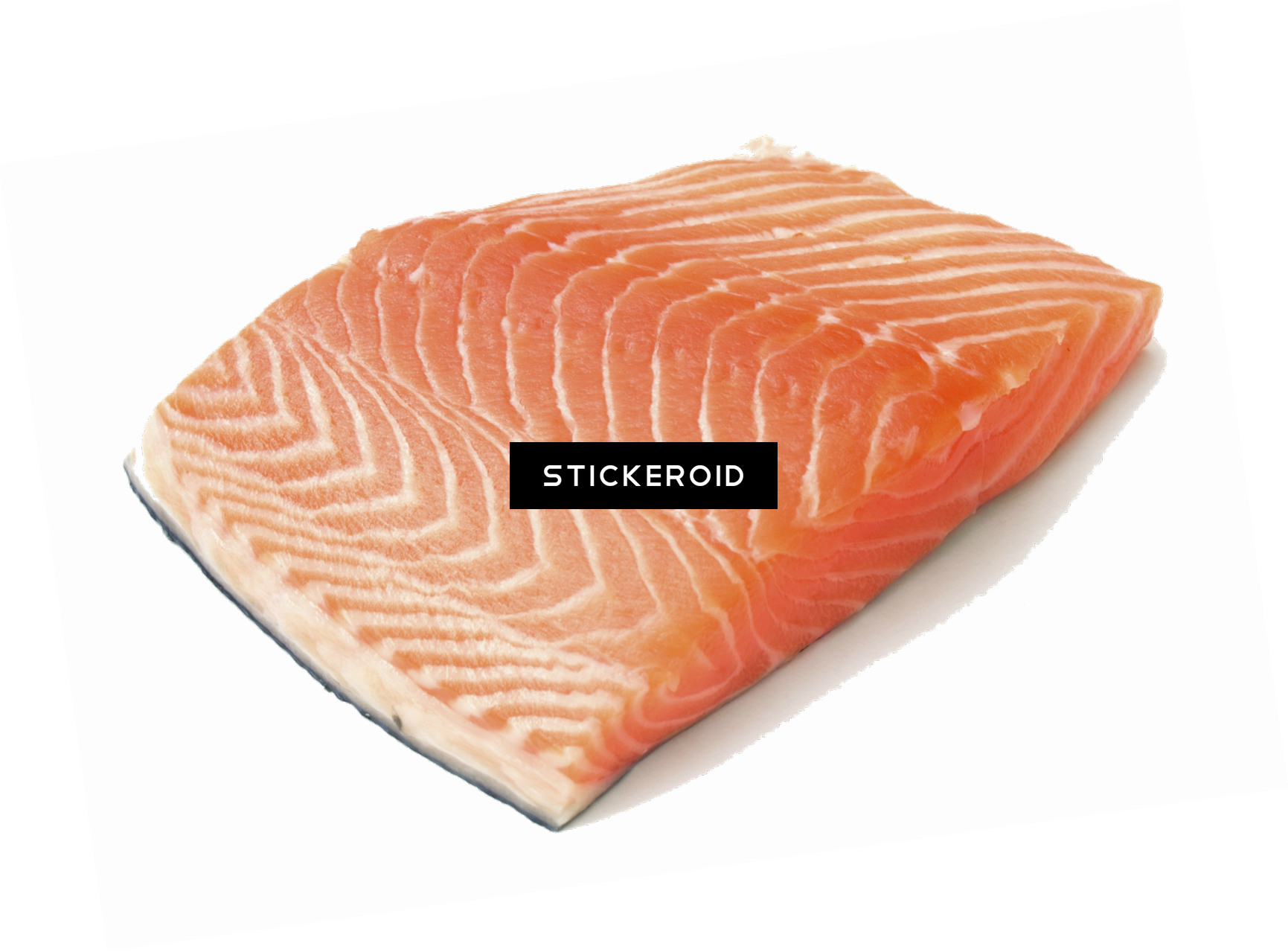 Fresh Salmon Steak Filet