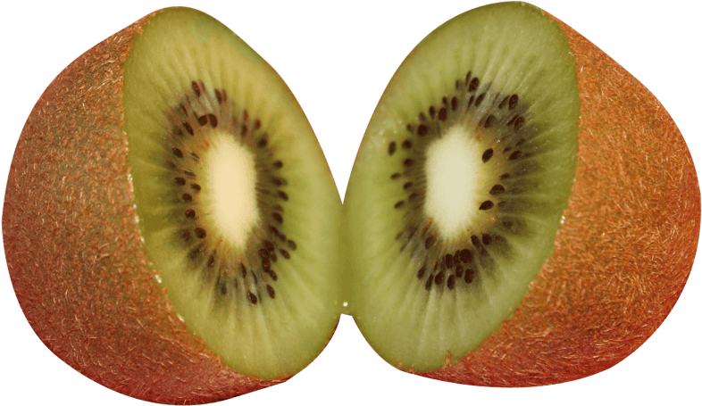 Fresh Sliced Kiwi Fruit