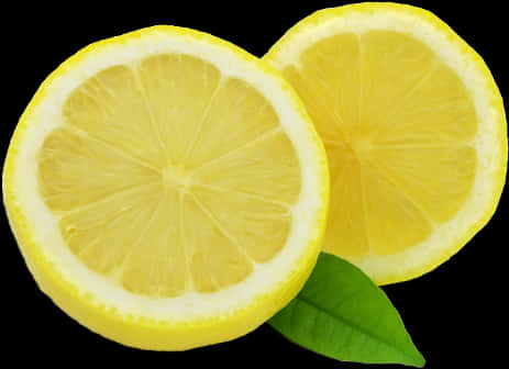 Fresh Sliced Lemonwith Leaf