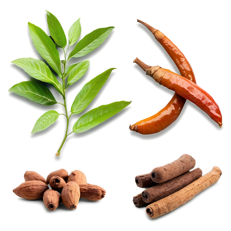 Fresh Spice Assortment Png Ssv90