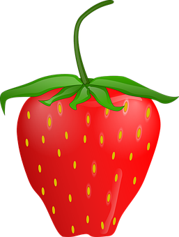 Fresh Strawberry Vector Illustration