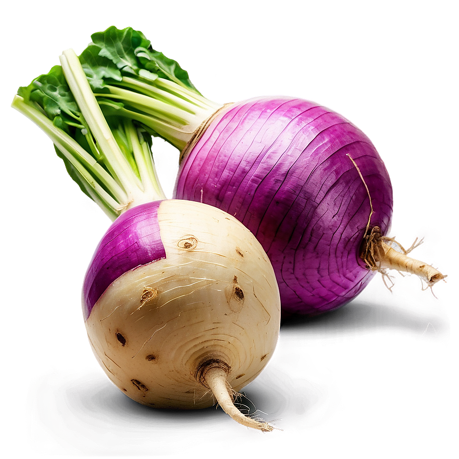 Fresh Turnip Png 06252024