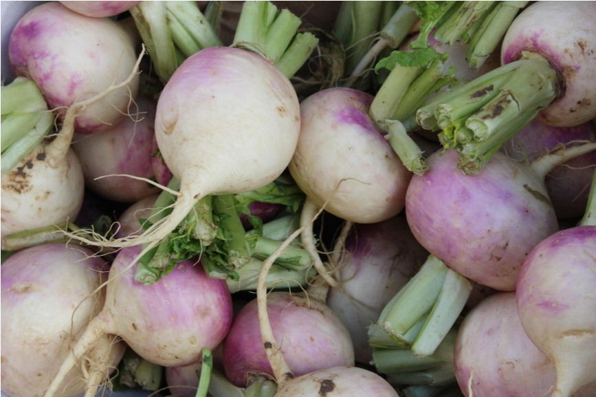 Fresh Turnips Bunch Top View