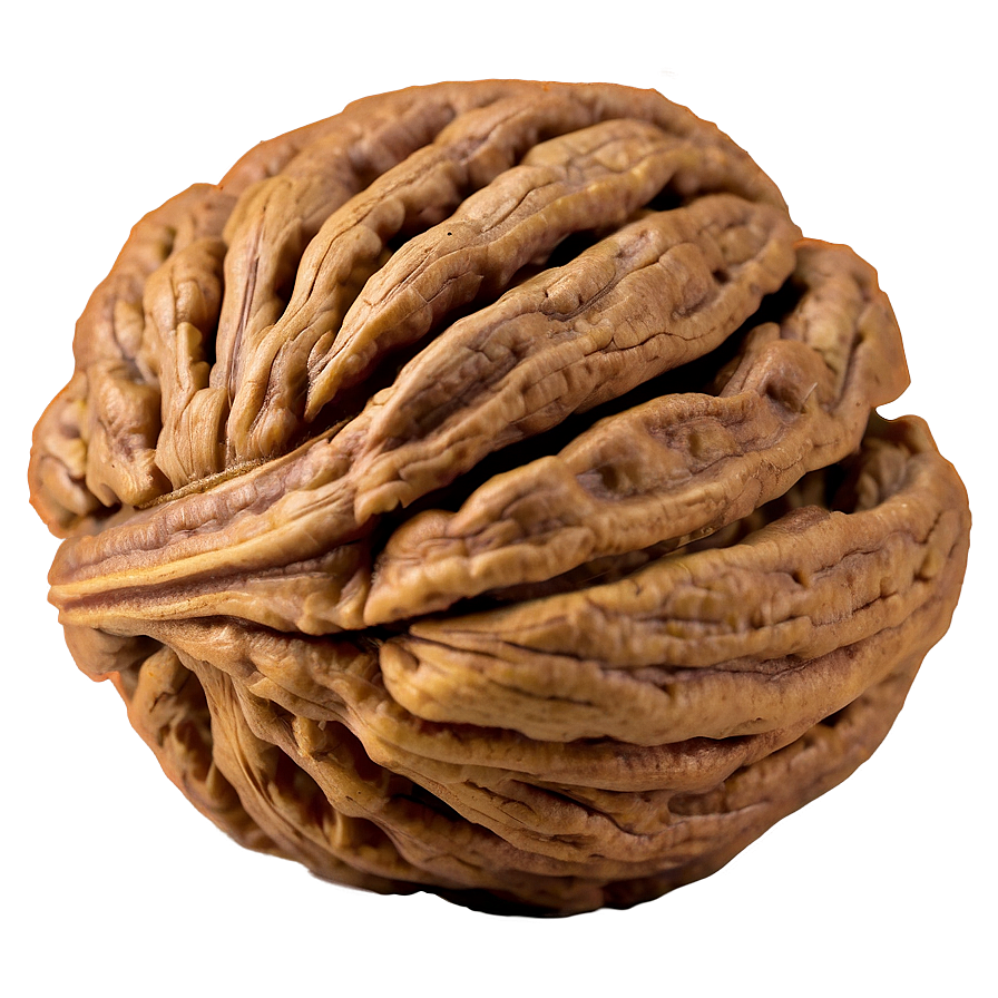 Fresh Walnut Png Gyt