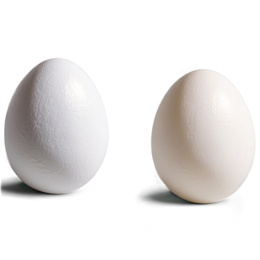 Fresh White Egg Png 06292024